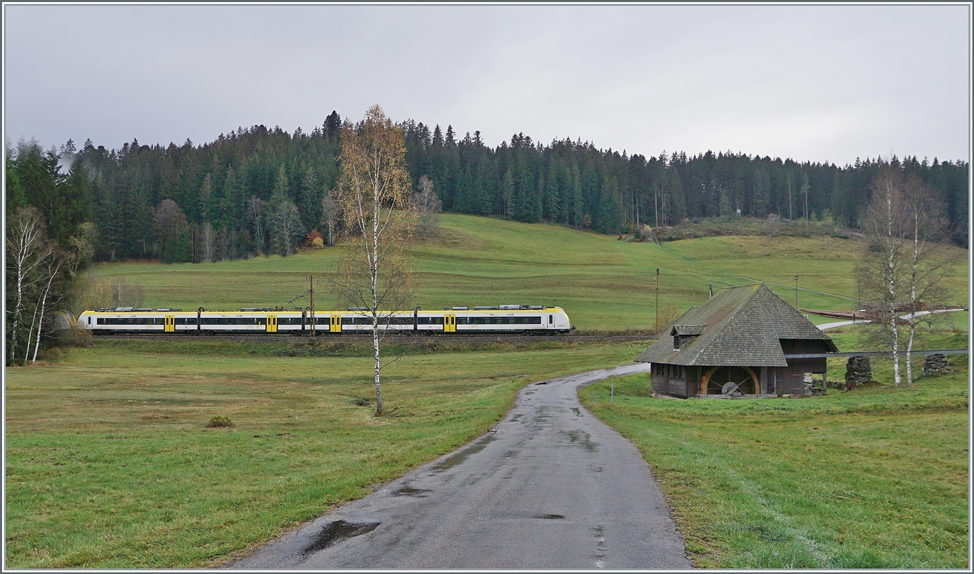 Eine weitere Variante der Jokelsmühle mit der Schwarzwaldbahn zwischen Hinterzarten und Tittisee. Während die oberschächtige Mühle perfekt ins Bild passt, muss man sich an die Grisekatzen (BR 440 - Coradia Continental 2) als  Schwarzwaldzüge  erst noch gewöhnen.

14. November 2022