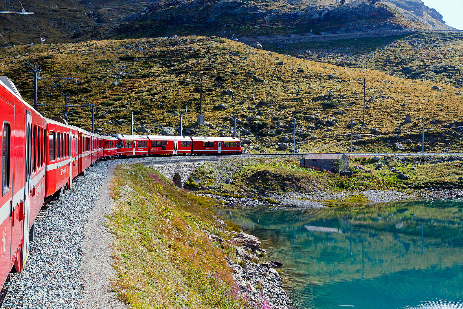 Gef�hrt von dem ALLEGRA-Zweispannungstriebzug ABe 8/12 RhB 3504  Dario Cologna  erreichen wir mit unserem RhB-Regionalzug nach Tirano am 06.09.2021 bald Ospizio Bernina, den h�chsten Punkt der Berninabahn.