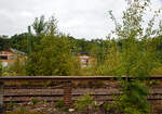 Ein etwas anderes Bahnbild....