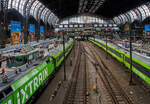 Hamburg Hauptbahnhof am 16 Mai 2022, hier sind gleich zwei FlixTrain eingefahren, links der FlixTrain FLX 20 von Hamburg, via Bremen, Münster und Düsseldorf nach Kön Hbf, rechts der