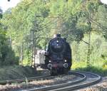 01 1066 in Ulm am 11.09.2010.