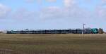 NRAIL/DB 245 212-6 schiebt hier ihrem RE 6 von Lehnshallig nach Niebüll. 27.03.2026