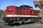 202 819-9 in Nürnberg beim Jubiläum 100 Jahre DB Museum Nürnberg am 16.10.1999.