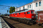 Die Ludmilla 233 322-7 (92 80 1233 322-7 D-DB) der DB Cargo, ex DB 232 322-8, ex DR 132 322-9, f�hrt am 19.09.2018 mit einem G�terzug durch den Hauptbahnhof Brandenburg an der Havel.

Die V 300 wurde 1975 von LTS (Luhanskyj Teplowosobudiwnyj Sawod auch bekannt als Lokomotivfabrik Lugansk (ehemals Woroschilowgrad)) unter der Fabriknummer 0536 gebaut und als 132 322-9 an die Deutsche Reichsbahn (DR) geliefert. Zum 01.01.1992 erfolgte die Umzeichnung in DR 232 322-8  und zum 01.01.1994 dann in DB 232 322-8. Im Jahre 2002 erfolgte dann der  Umbau und Remotorisierung mit neue zw�lfzylinder Dieselmotor: 12D49M im Ausbesserungswerk Cottbus, so erfolgte zum 06.11.2002 die Umzeichnung in DB 233 322-7.