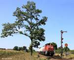 Railion DB Logistics 294 753-9 f�hrt nach Bedienen des Anschlusses in Freih�ls wieder als �bergabe 56925 zur�ck nach Schwandorf, KBS 870 N�rnberg - Schwandorf, fotografiert bei der Ausfahrt Freih�ls