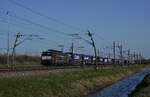 SBB 189 996 zieht der NOvara-KLV durch Valburg am 5 März 2026.
