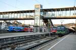 193 243 mit IRE 200; 622 061; 425 und 462 Desiro HC von Siemens in Ulm am 07.01.2023.