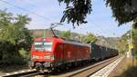 DB 193 384 mit nem Containerzug gen Süden in Lorchhausen.