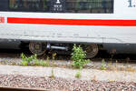Detailbild von einem Bombardier Flexx Eco 5101 Laufdrehgestell des dreizehnteiligen ICE 4 - Tz 9481 „Rheinland-Pfalz“ (hier am Wagen Nr.