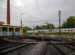 Die Europalok 101 057-8  (91 80 6101 057-8 D-DB)  Bahn f�r Europa  f�hrt (schiebend/Steuerwagen voraus) mit einem IC von Freilassing weiter in Richtung M�nchen.