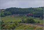 Die Strecke Wutachtal Bahn wurde aus strategischen Gr�nden so flach angelegt, dass ich mangels augenscheinlich feststellbarer Neigung den Zug erst aus der anderen Richtung erwartet habe...