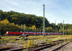 Eine 146.0er der DB Regio NRW erreicht am 17.10.2021 mit dem RE 8 den Bahnhof Betzdorf (Sieg).