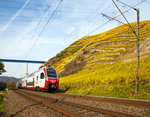   Goldener Herbst: Hier nun im Nachschuss, der fünfteilige SÜWEX Stadler FLIRT 3 - 429 622 / 429 122 als RE 1   Südwest-Express  gekuppelt mit dem dreiteiligem CFL Stadler KISS 2301 als