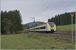 Nachdem der Zug auf dem vorangegangenen Bild etwas  versteckt  zu sehen war, hier an fast derselben Stelle zwischen Titisee und Hinterzarten die bedienen DB 1440 174 und 862 als S 1 9618 von Seebrugg