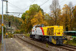 Welch seltener Gast auf der Siegstecke, auch wenn Triebzüge und -wagen der HLB hier Alltag sind, ist die Güterlok der HLB meist in und um Kassel unterwegs.