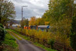 Die KSW 44 (92 80 1271 004-4 D-KSW) eine MaK G 1000 BB, f�hrt am 07.11.2022 mit der kalten KSW 43 (92 80 1273 018-2 D-KSW) die asymmetrische Vossloh G 2000 BB und einem �bergabezug (leere VTG