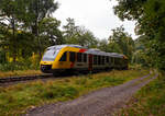 Der VT 258 (95 80 0648 158-3 D-HEB / 95 80 0648 658-2 D-HEB) ein Alstom Coradia LINT 41 der HLB (Hessische Landesbahn) erreicht am 03 Oktober 2025, als RB 96  Hellertalbahn  (Dillenburg – Haiger