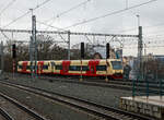 Zwei gekuppelte STADLER Regio-Shuttle RS1 bzw.