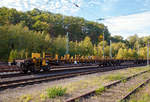   Langschienenwagen 281 aufbauend auf einen 4-achsigen Drehgestellwagen der Gattung Skks, 33 80 4662 064-1 D-LOG als Endwagen zur Langschienentransporteinheit TE 321 der Bauart Robel der Vossloh