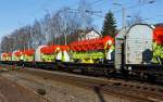 Transwaggon Flachwageneinheit mit geradem Fu�boden und festen Stirnw�nden (Laalps) , beladen mit VARIO Schneidwerke V750 der Fa.