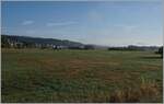Ein Zugsuchbild (für Fortgeschrittene) wobei das Motiv im Vallée de Joux der aus dem Nebel herausragende Gipfel recht im Bild bei Le Pont war.
