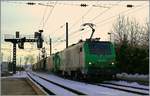 Ein flei�iges und ein faules  Fretchen  mit einem G�terzug in Frasne.