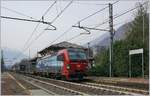 Die SBB Cargo International Re 193 467  Brig  fährt am  Schiefen Turm von Cuzzago  bei der gleichnamigen Station auf der Strecke Domodossola - Milano vorbei.