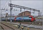 Die an die SBB vermietete Vectron 91 80 6193 475-1 D-SIEAG erreicht von Domodossola kommend ihr Ziel Novara.