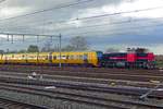 IRP 2213 rangiert am 13 November 2019 in Nijmegen mit z-gestellte DM'90er.