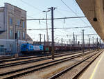 Die für die voestalpine fahrende Siemens Vectron AC 193 250 / 193 - 250 (91 80 6193 250-8 D-ELOC) der ELL Austria GmbH (European Locomotive Leasing, Wien) fährt am 04 April 2025 mit einem