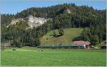 Ein BLS RABe 535  Lötschberger  und RABe 525  NINA  haben das Emmental verlassen und fahren bei Ennetiflis durchs Entlebuch in Richtung Wolhusen.