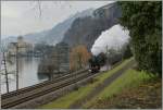 Da Dampfloks nicht nur dampfen sondern auch kräftig rauchen habe ich lieber zu früh abgedrückt, damit auch das Château de Chillon noch zu sehen ist.
