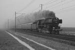 Die Dampflok Pacific 01 202 auf der Fahrt nach Schaffhausen am Morgen des 15.