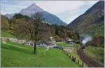 Die Elefanten kommen! Die C 5/6 2978 und 2969 führen gemeinsam einen langen Extrazug über die Gotthard Panorama Strecke.