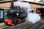 2025-10-24.BC Chamby-Mus�e  Locomotive � Vapeur G 2x 2/2 105  SEG  