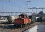 In Payerne vor der Swisstrain Ae 4/7 10997 steht die Ee 3/3 16352.
Swisstrain verfügt in Payerne und Le Locle über zahlreiche Fahrzeuge, wobei der grosse Teil dieser historischen Fahrzeuge auf eine Aufarbeitung warten.
 
1. März 2021