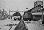 De 4/4 1661 und Ae 6/6 111416  Glaurs  stehen im verschneiten Bahnhof von Beromünster.