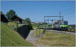 Die BLS Re 4/4 II 502 schiebt kurz vor Spiez ihren RE von Interlaken Ost Richtung Zweisimmen.