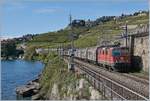 Die SBB Re 420 252-9 mit einem Güterzug auf der Fahrt Richtung Vevey kurz nach Rivaz.