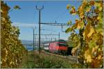 Die Re 460 112-0 mit einem IR in den Weinreben von Cully.