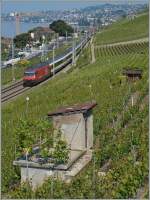 Die SBB Re 460 003-9 ist mir ihrem IR 1713 bei Cully unterwegs.