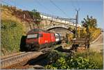 Die SBB Re 460 068-0 schiebt bei Cully ihren IR Richtung Brig.