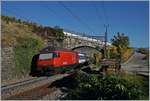 Die SBB Re 460 081-3 schiebt ihren IR Richtung Brig durchs Lavaux.