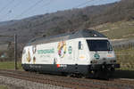 Die neue SBB Werbelokomotive Re 460 041-7 für Coop auf ihrer ersten Fahrt.