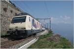 175 Jahre Schweizer Bahnen, und zum Jubiläum wurde neben einer Re 4/4 II auch diese SBB Re 460 019 mit einer Jubiläumsfolie beklebt.