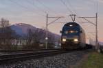 BLS: BLS Re 465 009-9 mit einem Containerzug bei Niederbipp im allerletzten Abendlicht bei Niederbipp.