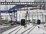 Zweisimmen mit BLS Re 465 und  Interface  Wagen f�r die Spurwechselz�ge Montreux Interlaken Ost.