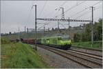 Während meine lieben Fotokollegen im Hintergrund ihre gemachten Bilder bereits betrachten, bin ich noch am fotografieren: mit der BLS Re 465 002 an der Spitze (und einer weiteren BLS Re 465 in Vielfachsteuerung) erreicht ein Zuckerrübenzug von Auvernier.

8. Okt. 2025