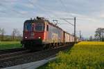 SBB: Güterzug mit Re 620 033-1  MURI AG  im letzten Abendlicht bei Roggwil am 28.