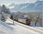 Die SBB Re 620 087-7 kommt mit dem Novelis Güterzug auf der Fahrt von Sierre nach Göttingen bei Villeneuve an den Genfer See.